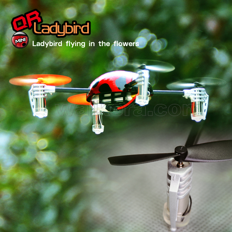 QR Ladybird