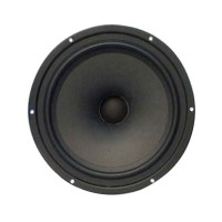 SO-VOIOE SV220WR-66-134-033 8inch Antimagnetic Coaxial Speaker