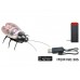 Mini-Robot Coleoptera 8cm Remote Control Beetle Insect Toy