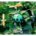 Walkera QR Ladybird V2 version Mini UFO Aircraft Quadcopter with DEVO 4 TX Transmitter