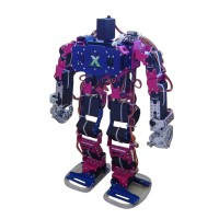 Biped Robot Humanoid Walking Robot (19 Degree of Freedom) Finger Can Move Silvery w/ 20PCS Servos & 24CH Control 