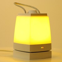 Portable LED Energy-Saving Plug Charging Nightlight Bedroom Lamp Light Sleep Baby Feeding USB Charging