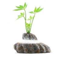 Magnetic Levitation Potted Plant Floating Decoration Green Miniascape Hanging Bonsai for Gift DIY