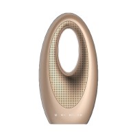 Wireless Bluetooth Audio Speaker Color LED Music MP3 Player Support TF Card Gold