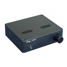 Car HIFI Power Amplifier DC12V TAS5613 150W+150W  Dual Channel Class D Audio AMP