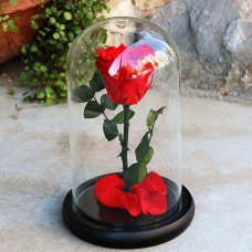 Beauty And The Beast Real Preserved Red Rose Glass Dome Best Gifts for Lovers 