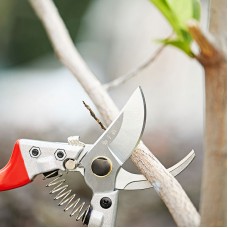 S10490100 SK-5 Heavy Duty Pruner Pruning Shears Tree Bonsai Scissors Cutting Tool