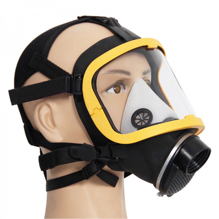 Air Fed Full Face Gas Mask Respirator System Electric Supplied 2 Wind ...