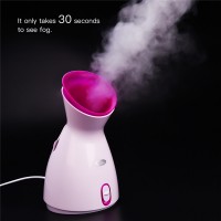 Fruit Vegetable Facial Steamer Humidifier Hot Mist Steam Sprayer Nano Spray Face Atomizer Steaming