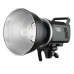 Godox MS300 220V Studio Flash Strobe 300W GN53 5600K For Bowens Mount Monolight 2.4G Wireless System