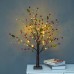 55CM/21.7" Light Tree Room Lighted Christmas Tree 24-LED Holiday Party Wedding Creative Decoration